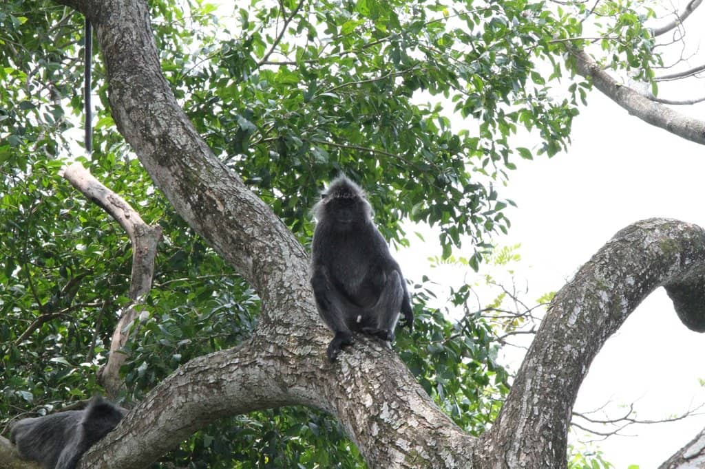 Historical Lighthouse