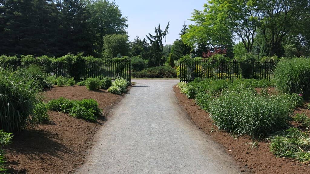 Scenic Walking Paths