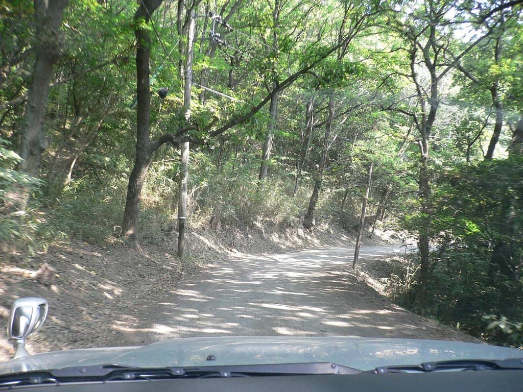 Generous Portion Sizes