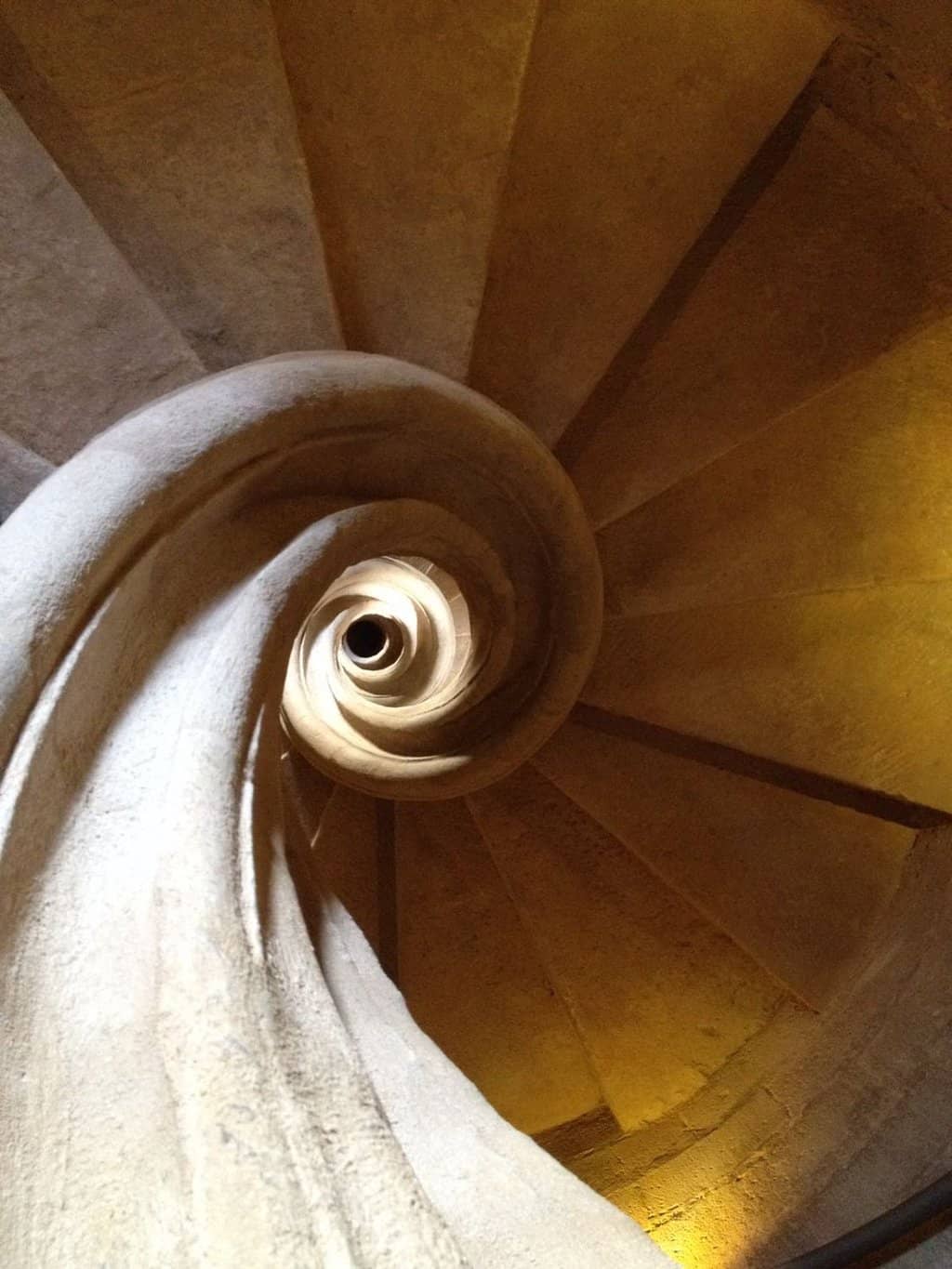 Rooftop Panoramic Views