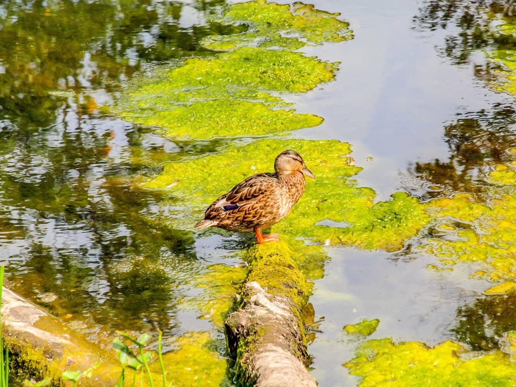 Visitor Center & Amenities