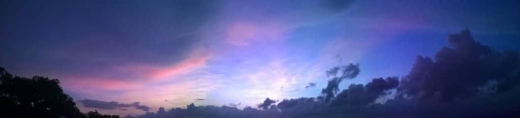 Interactive Bird Feeding