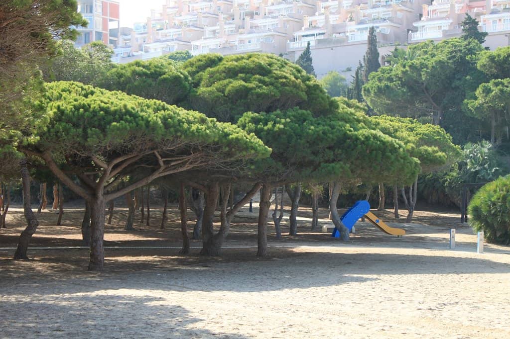 Bronze Age Settlement