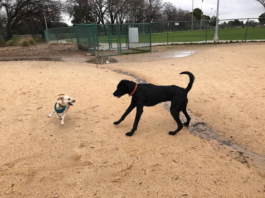 Family-Friendly Playground