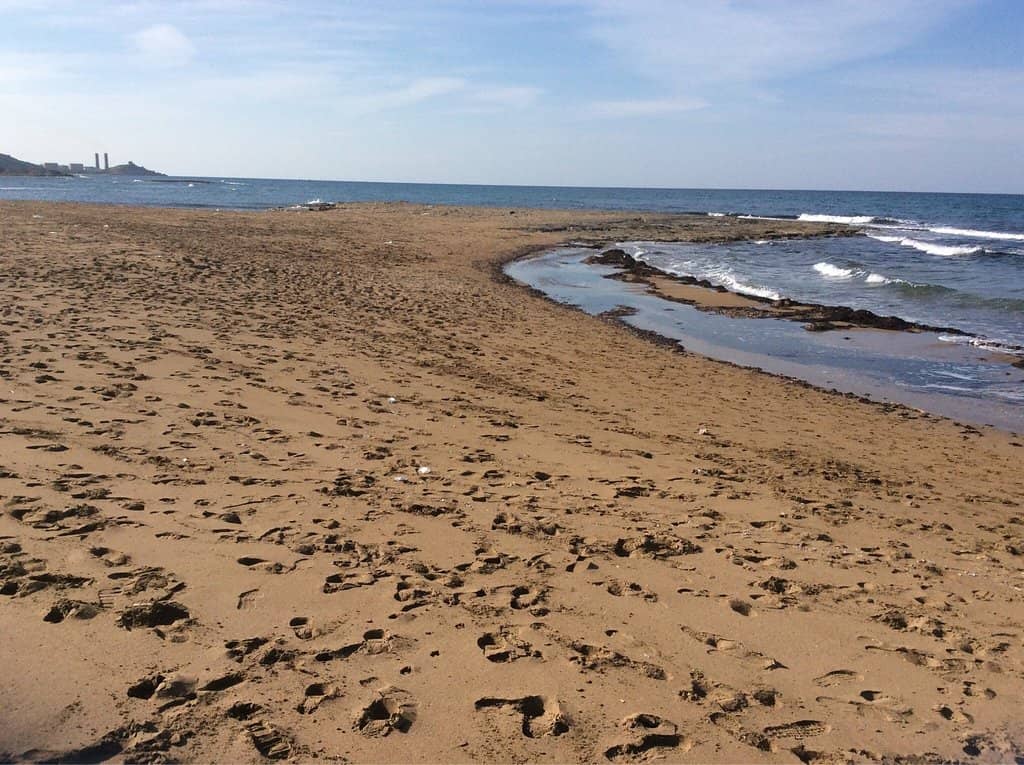 Two Distinct Bays