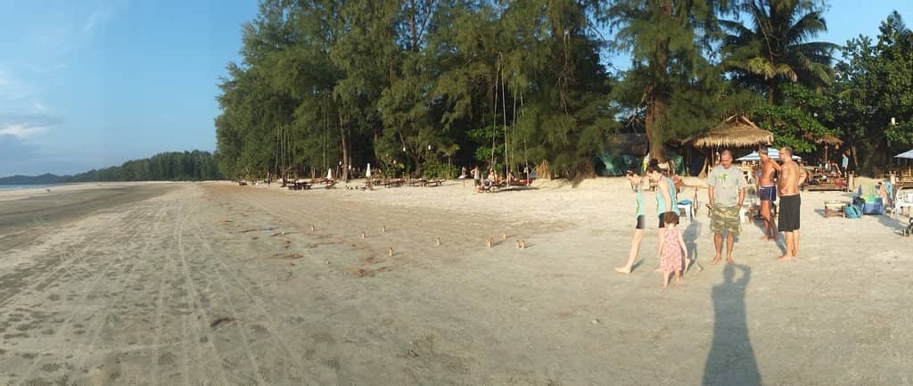 Surfer's Paradise
