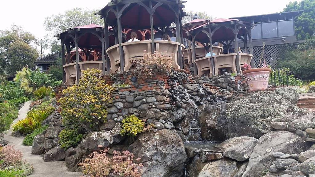 Farm-to-Table Freshness