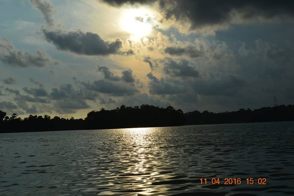 Cinnamon Island Visit