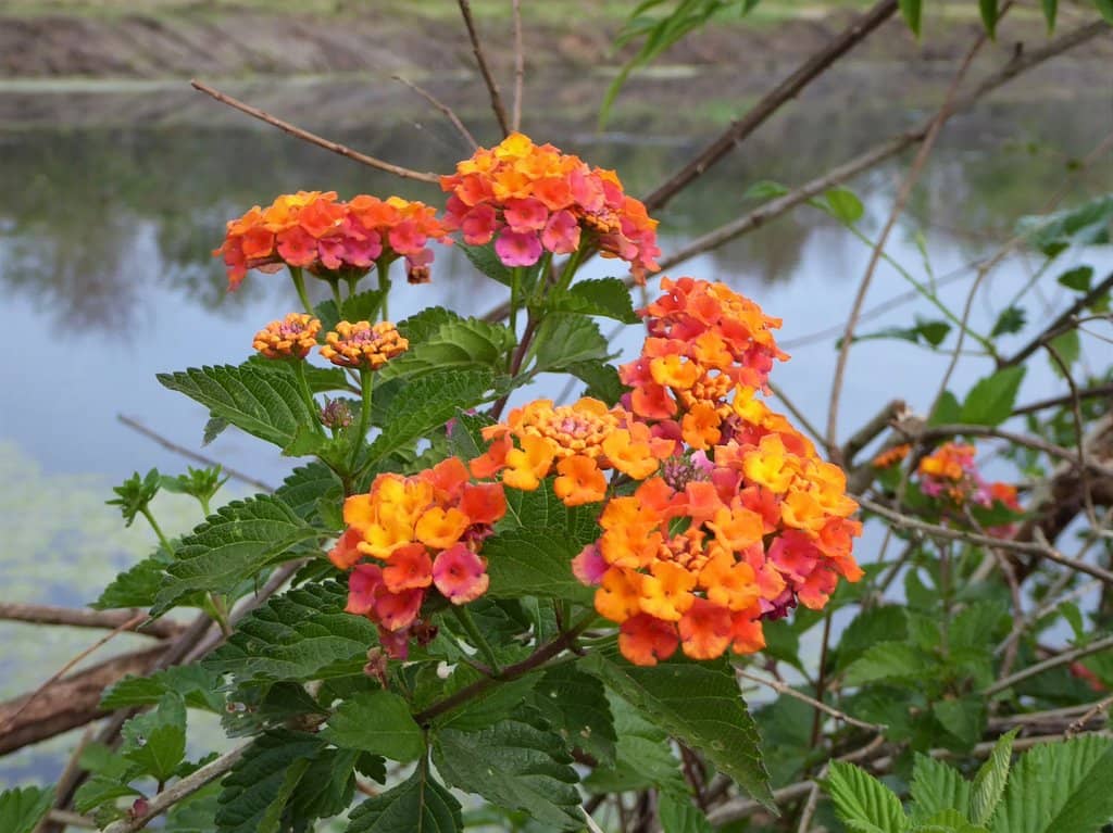 Tranquil Fishing Spots