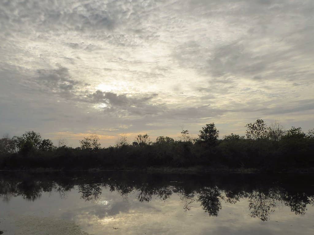 Serene Hiking Trails