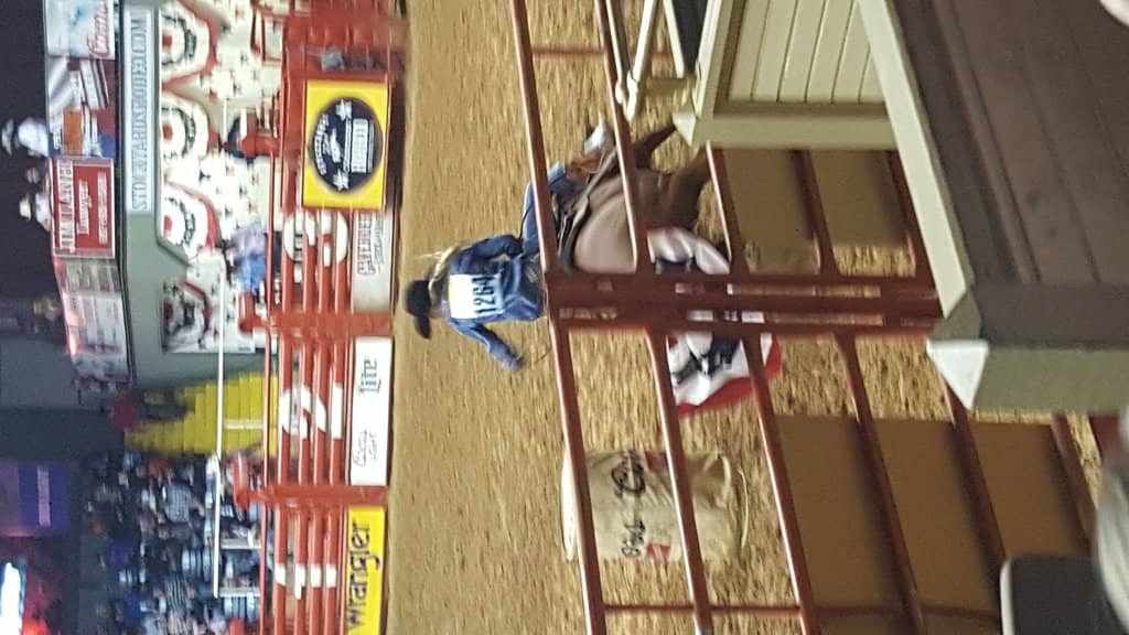 Bull Riding Action