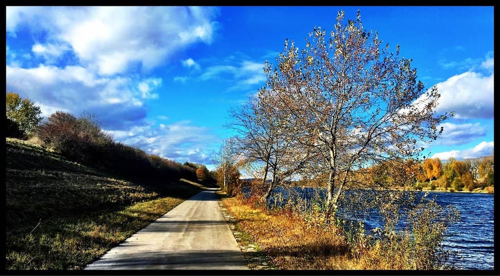 Picnic and Relaxation Spots
