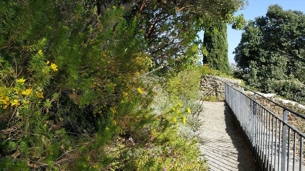 Terraced Botanical Gardens