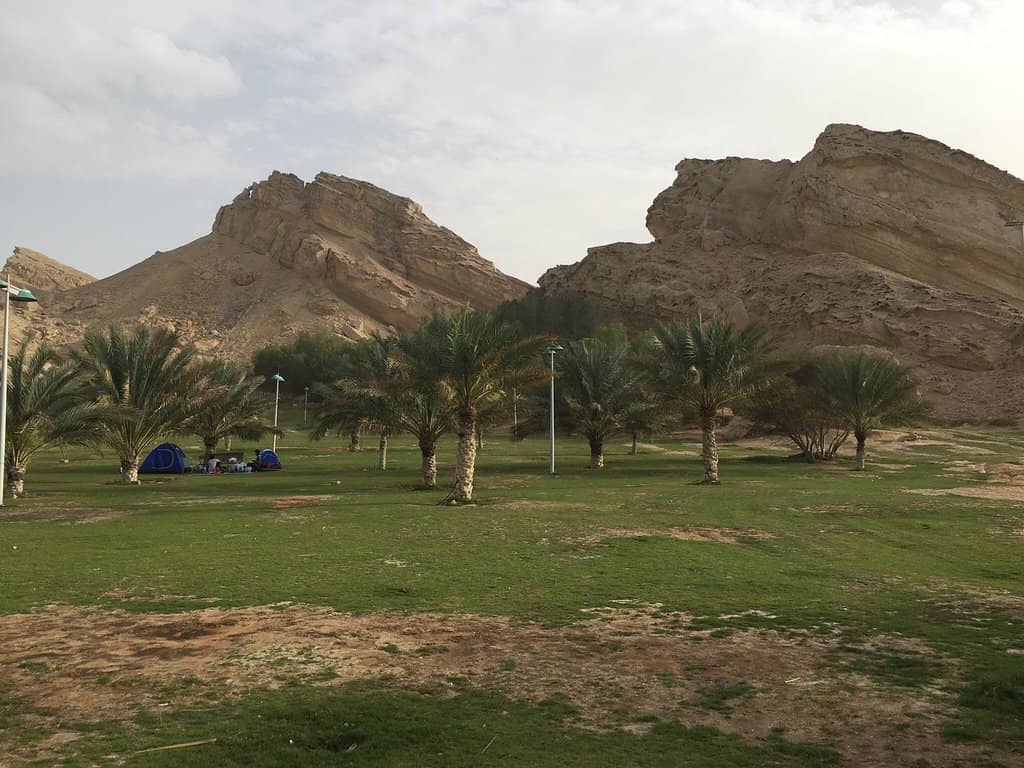 Mountain Sledder Ride