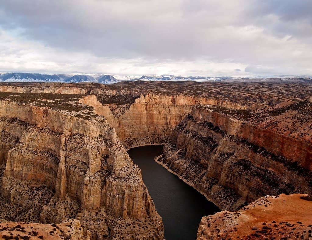 Horseshoe Bend Marina