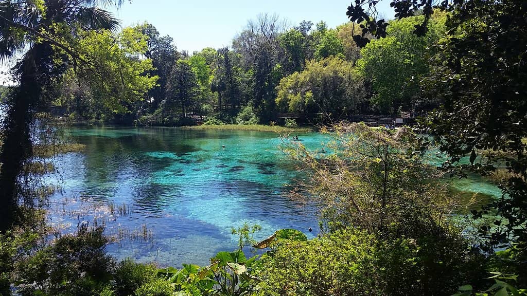 Healing Spring Waters