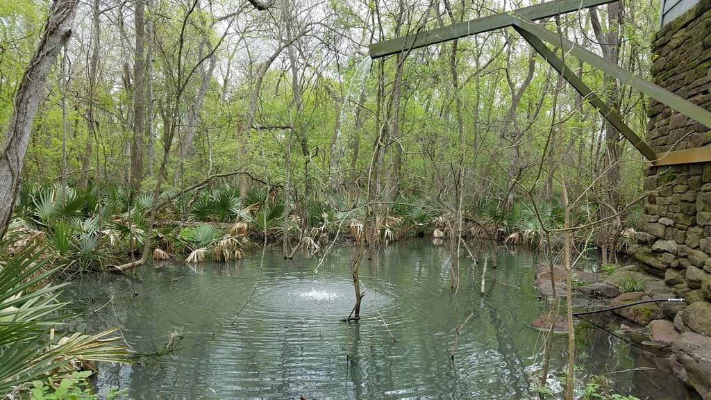 San Marcos River