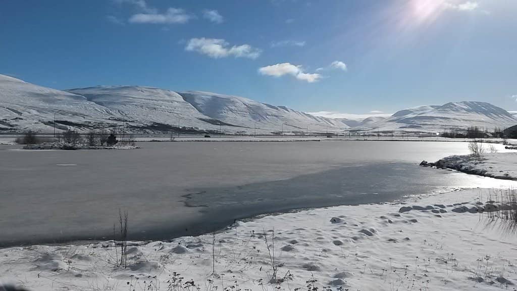 Whale Watching in Eyjafjörður