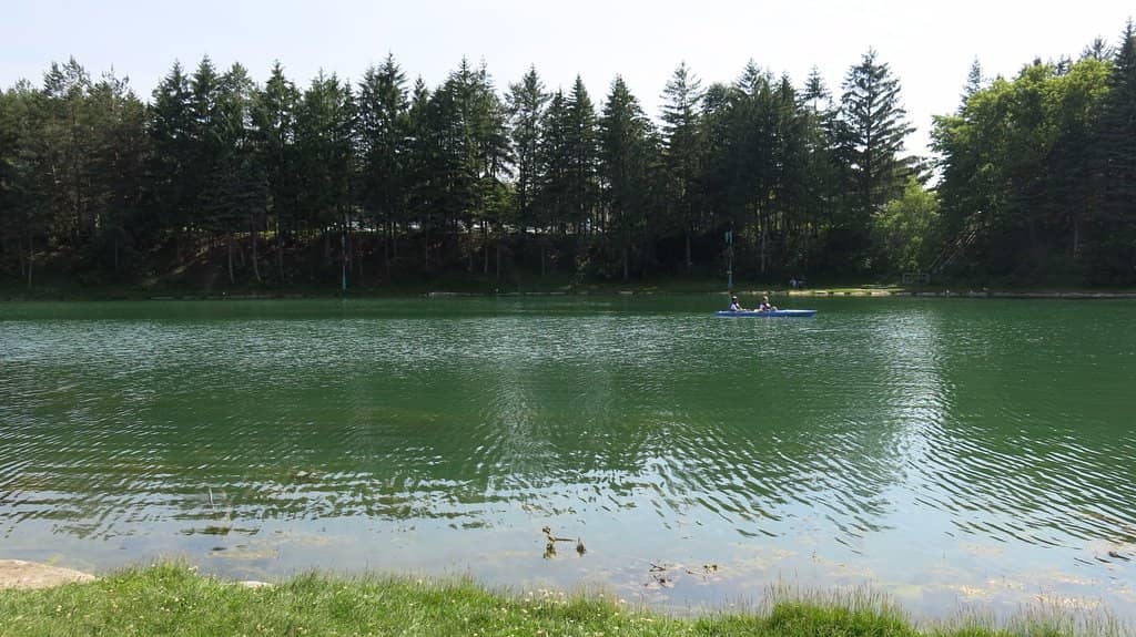 Farm Animal Encounters