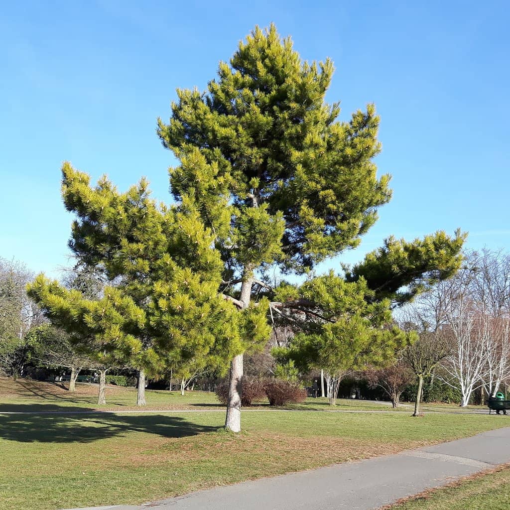 Children's Play Areas