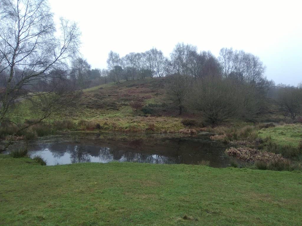 Go Ape Treetop Adventure