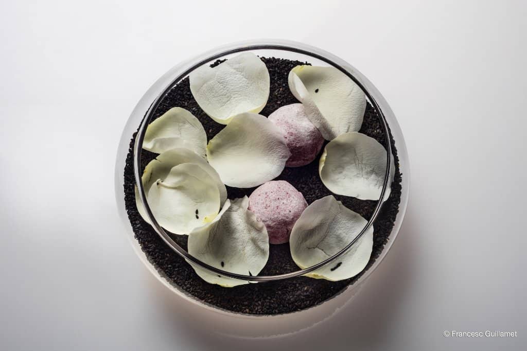 Molecular Gastronomy Magic