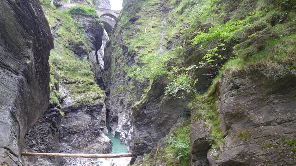 Vertical photo