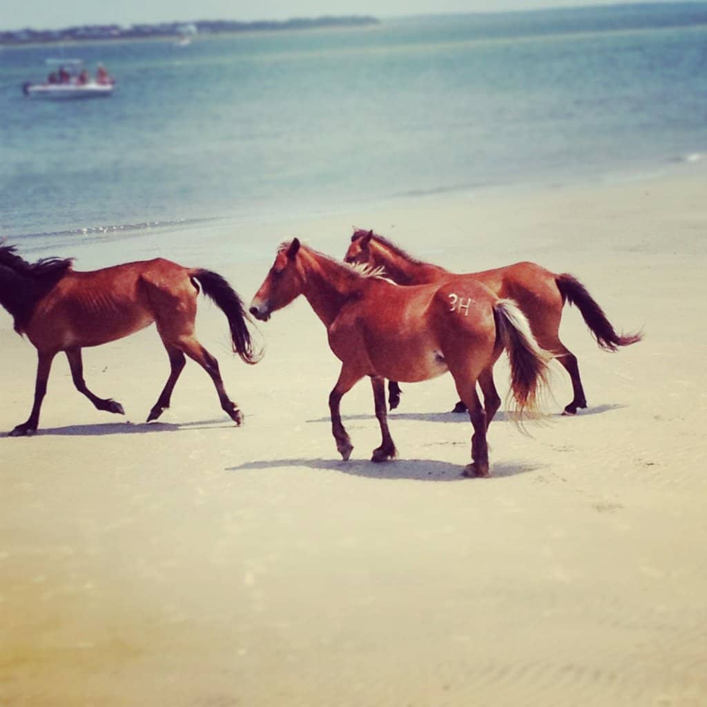 Cape Lookout National Seashore