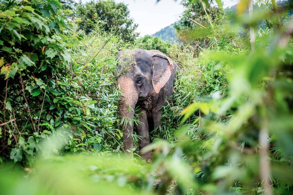 Highlights