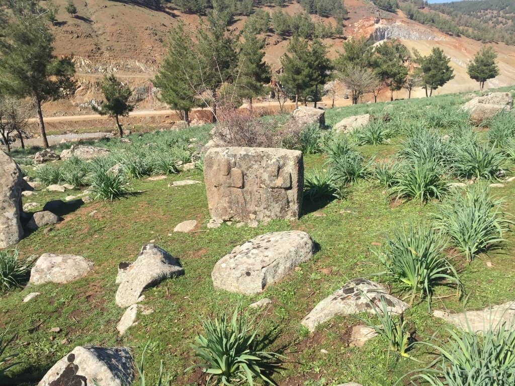 Vertical photo