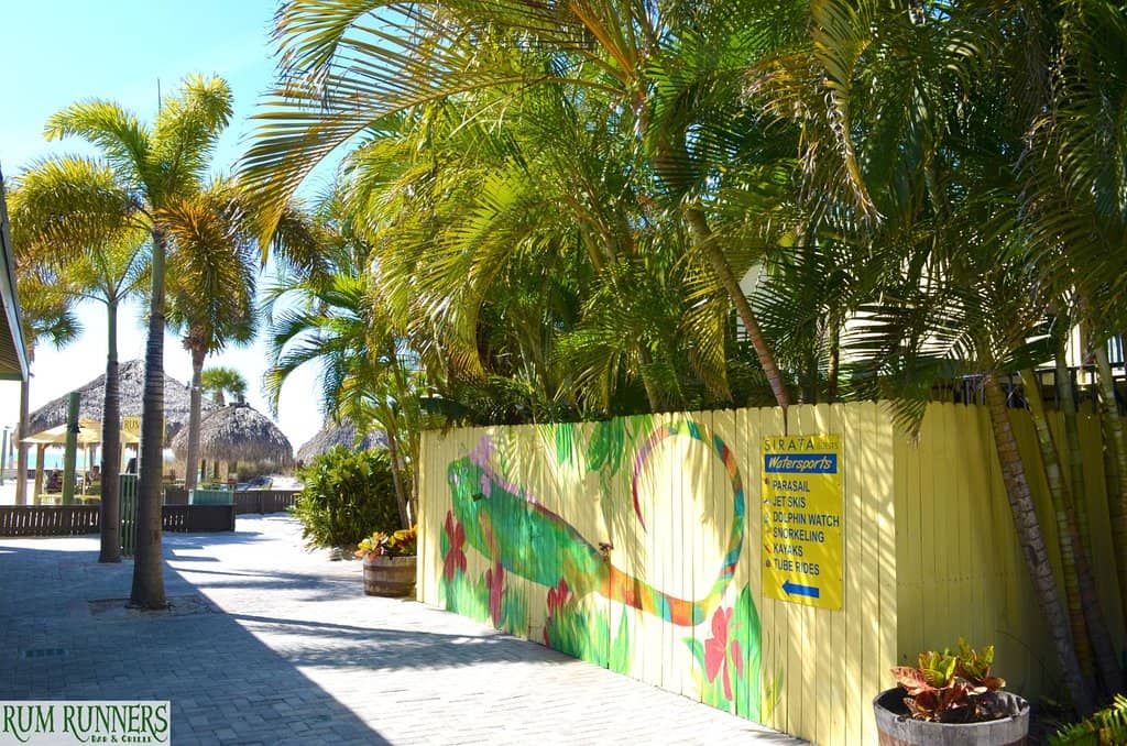 Unique Live Music Acts