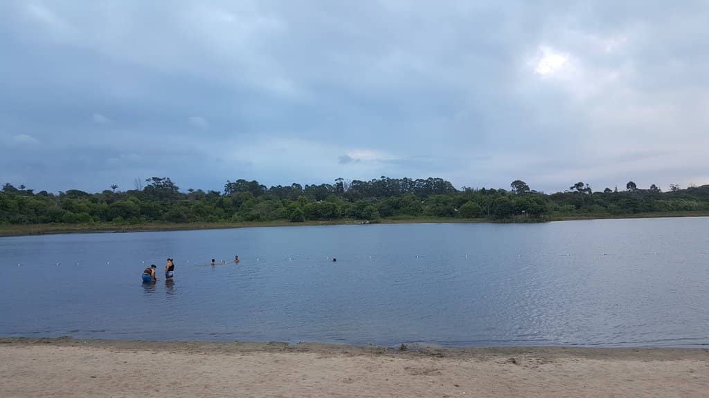 The Ocean Beaches