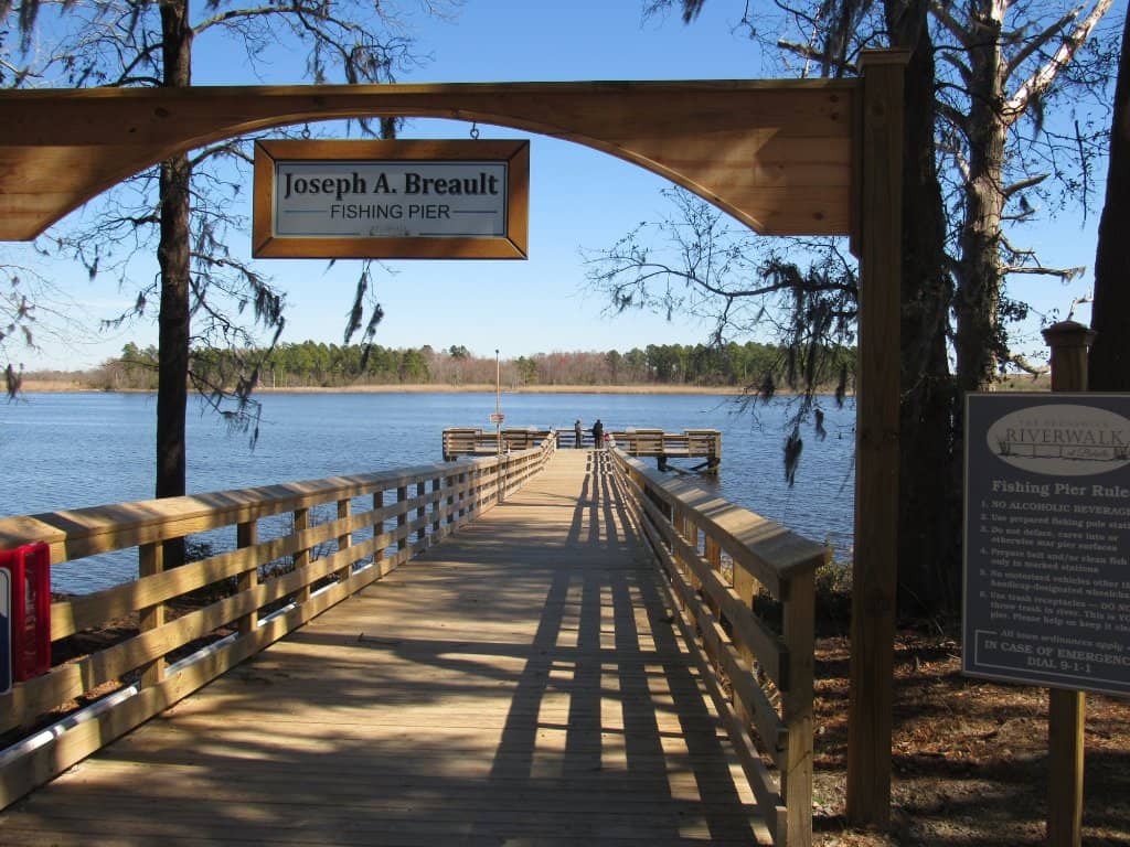 Dragonfly Sanctuary