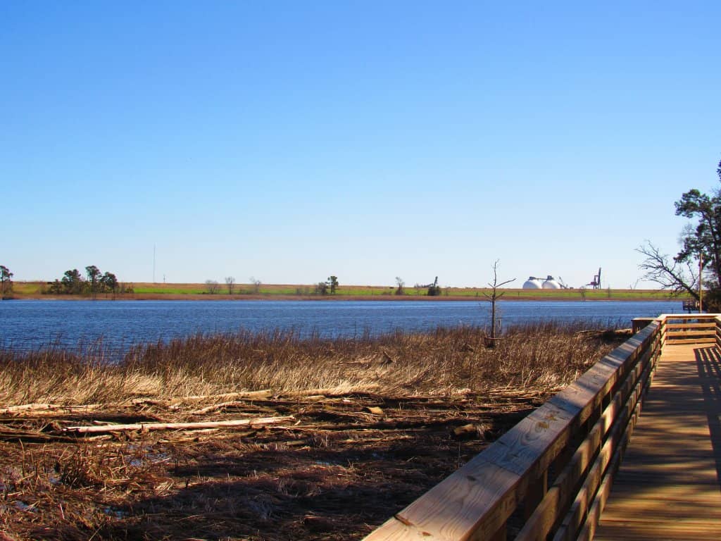 Woodland Walking Trails