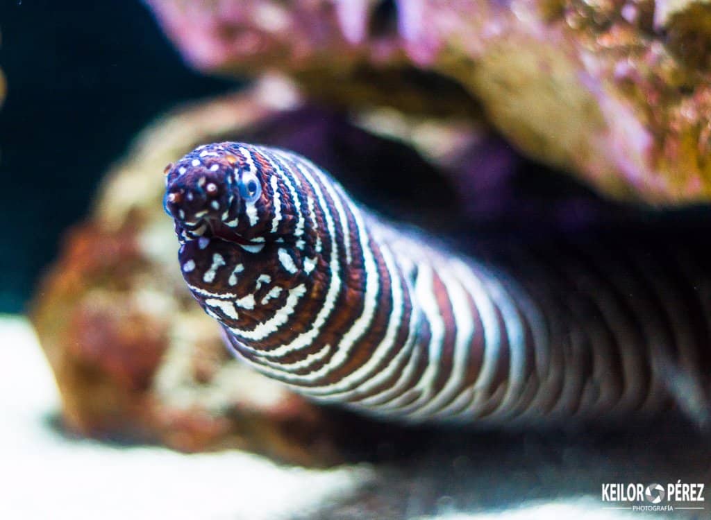 Historical Significance