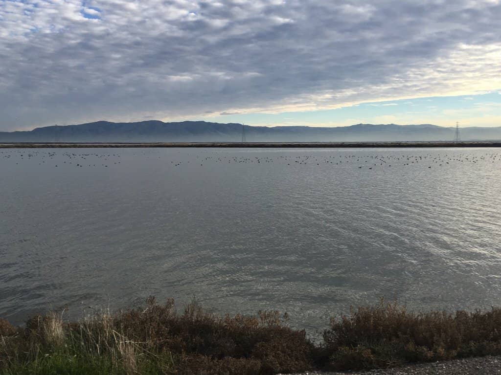 Peaceful Bay Views