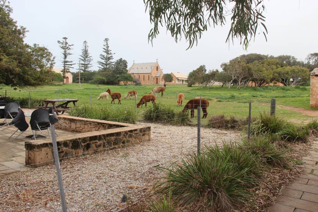 Charming Cafe Delights
