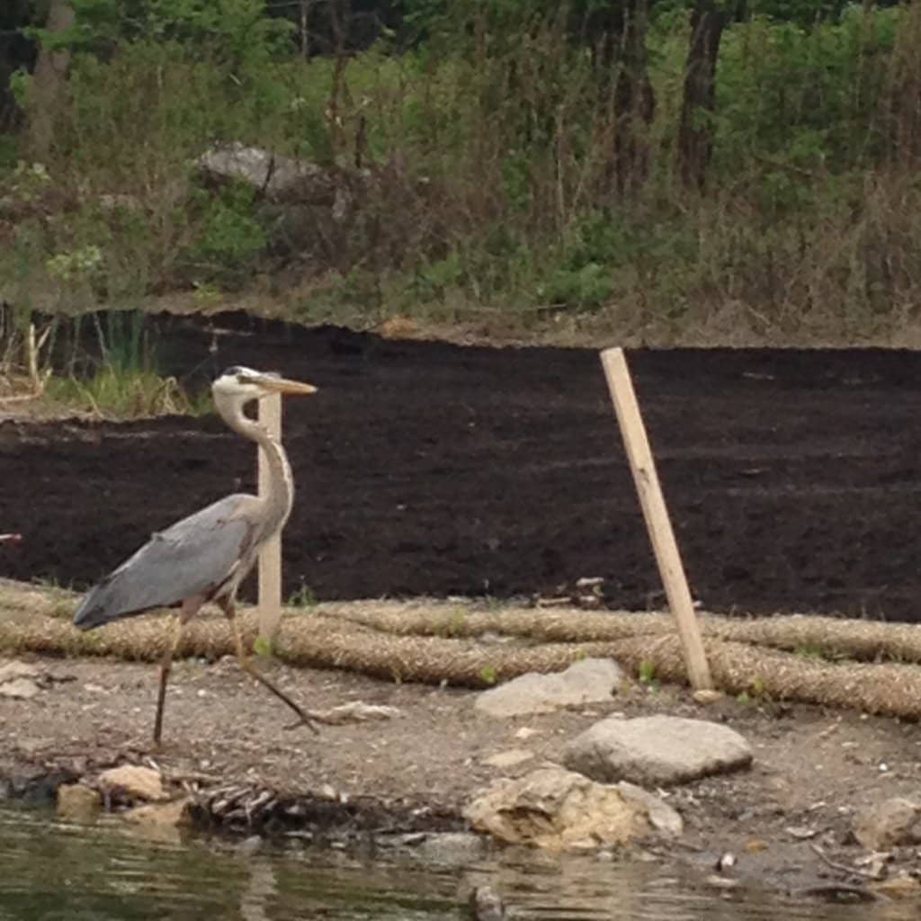 Bde Maka Ska Pavilion