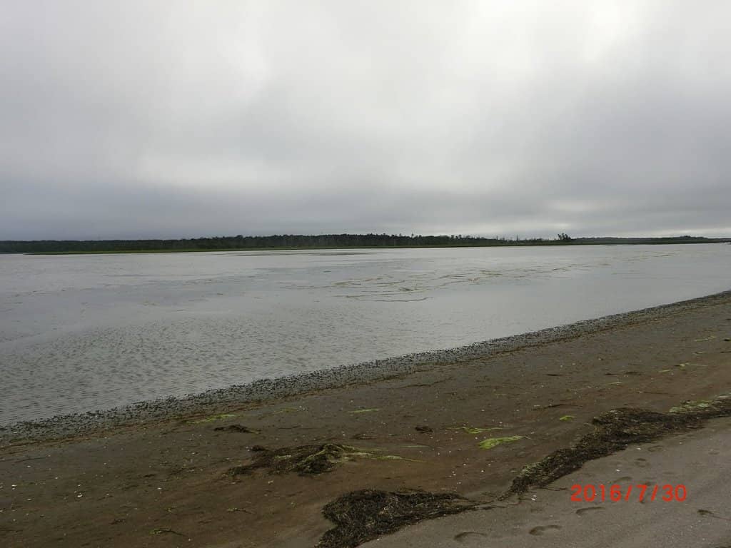 Vertical photo