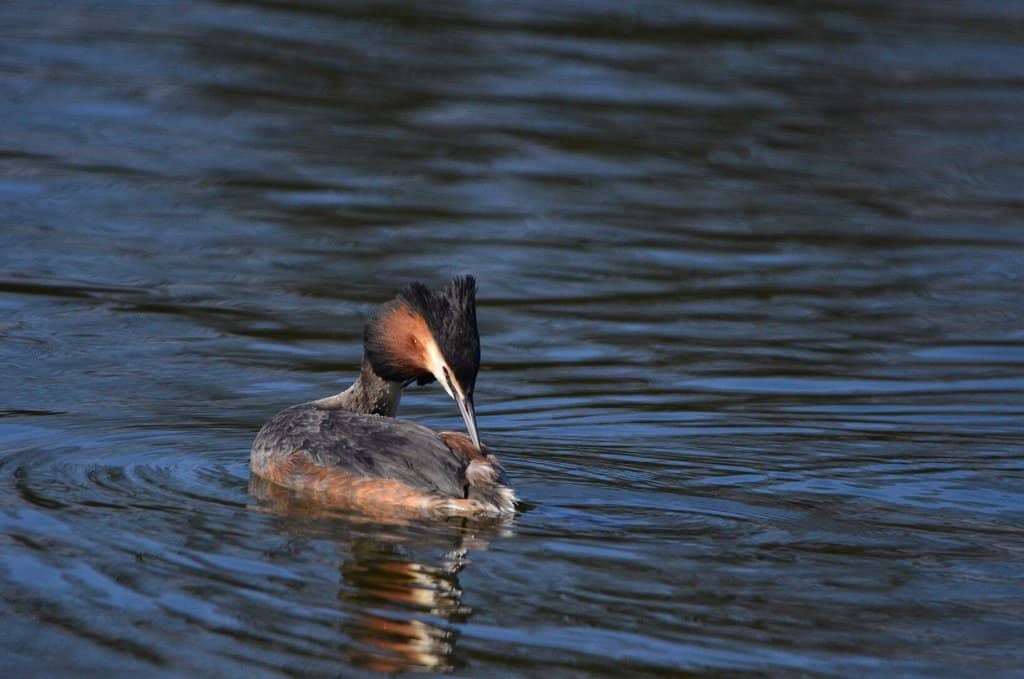 Fishing Opportunities