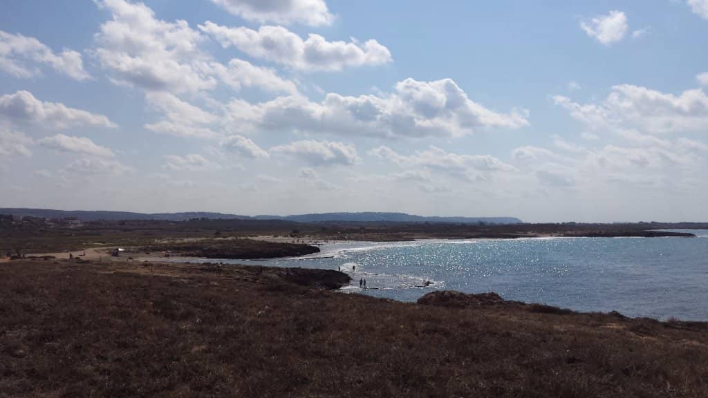Shell Beach Cove
