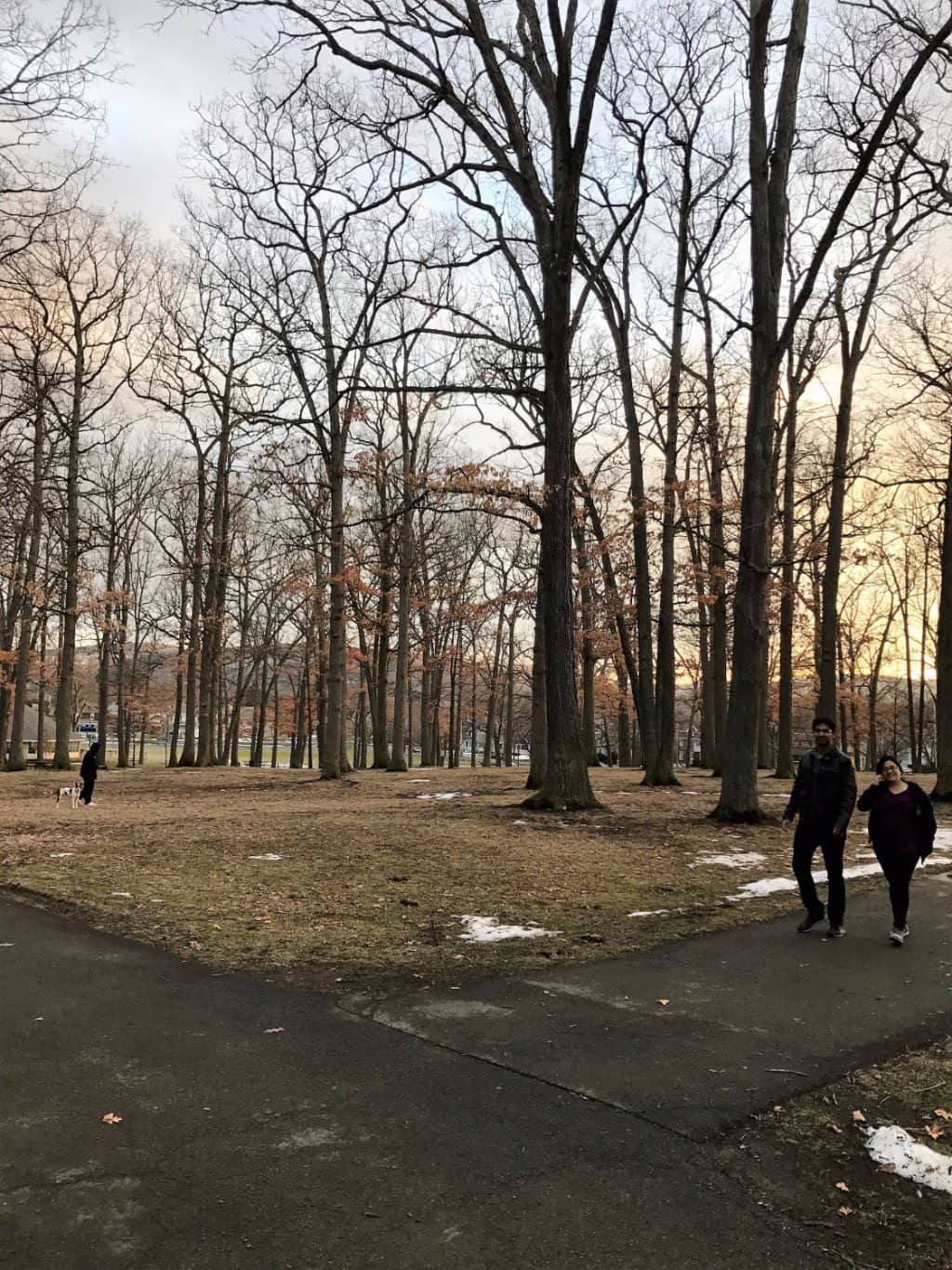 Sports Courts Galore