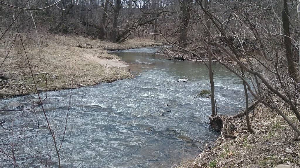 Glacier-Carved Gorge