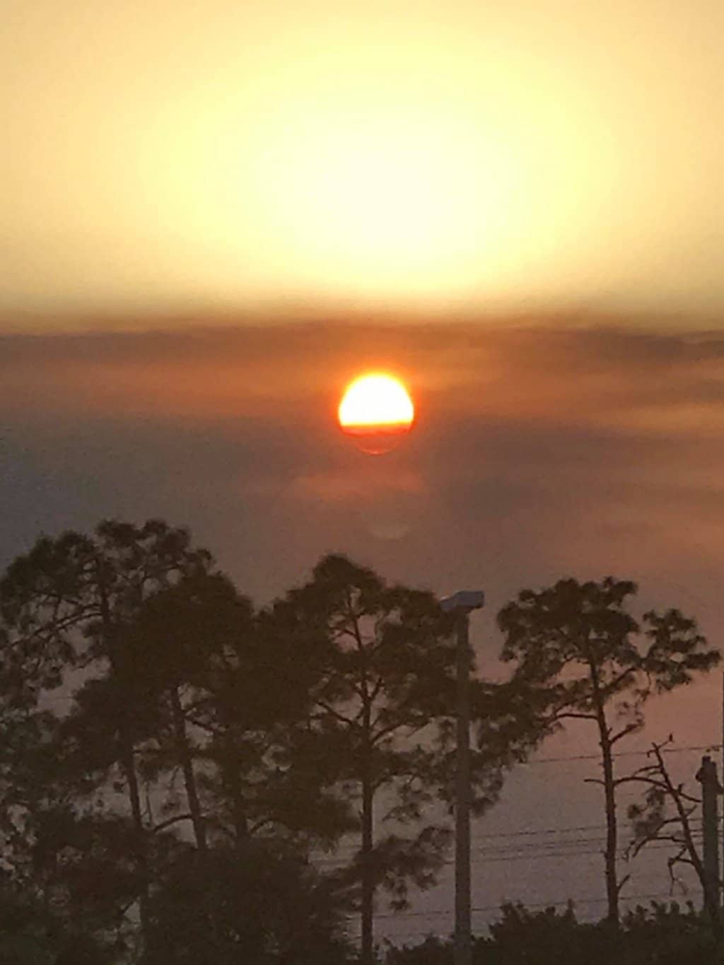 Cozy Lounge Atmosphere