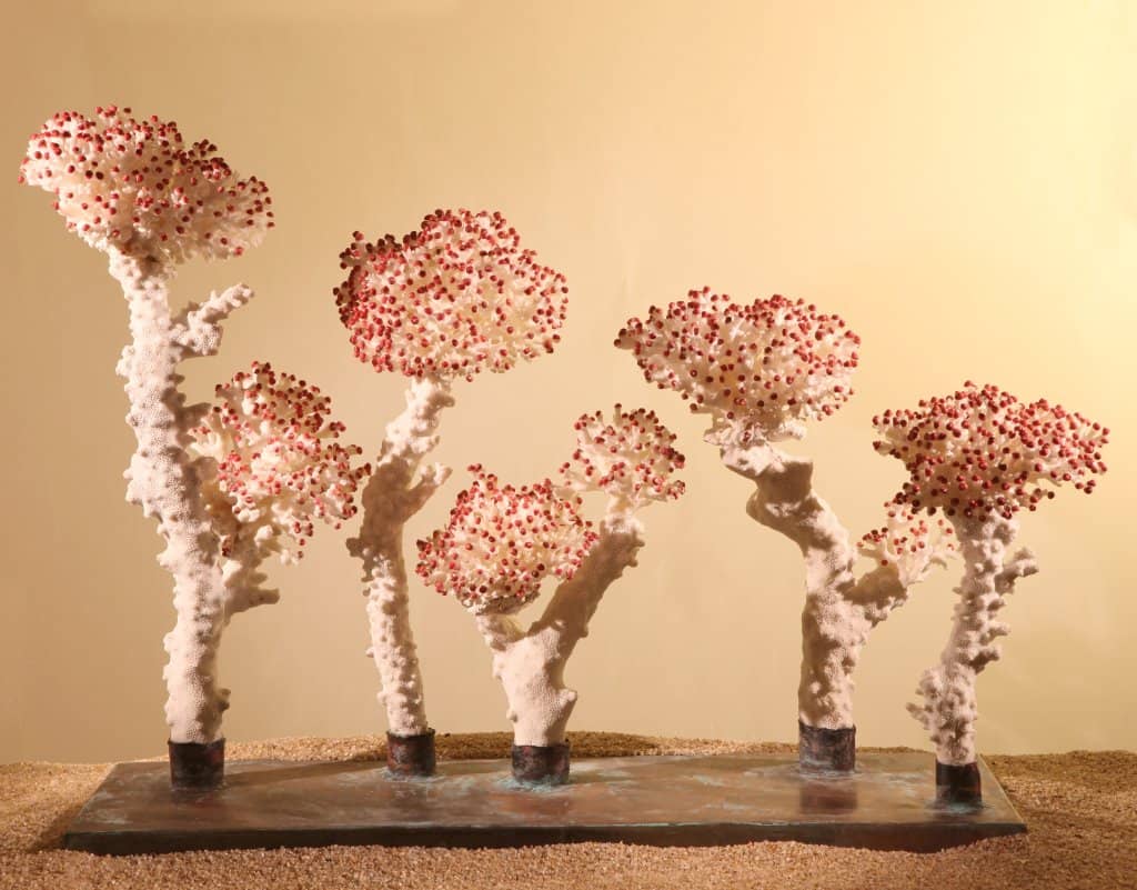 Marine Culture Insights