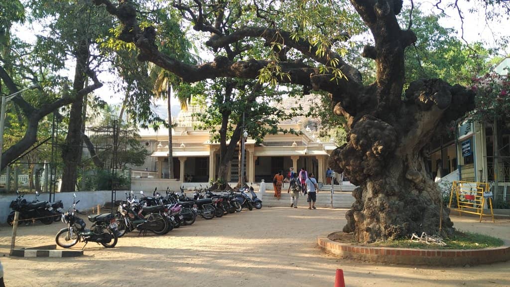 Extensive Book Stall