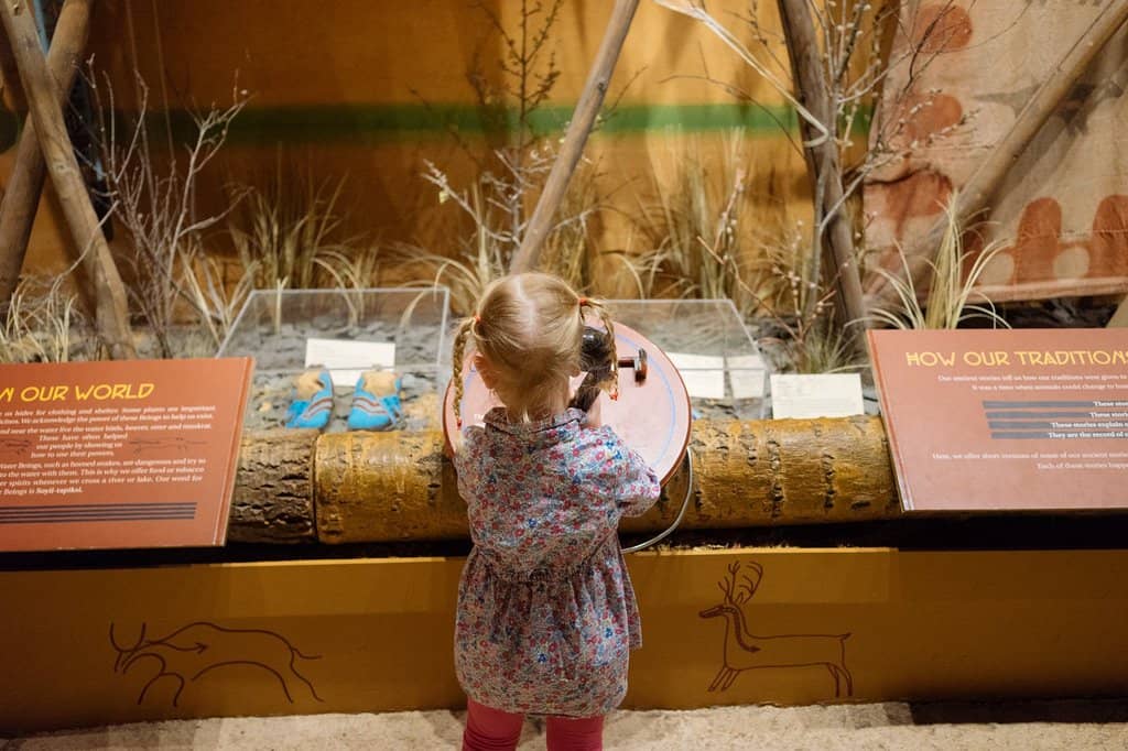 Minerals & Prehistoric Life