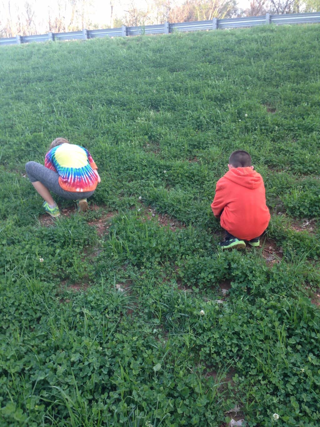 Running & Biking Trails