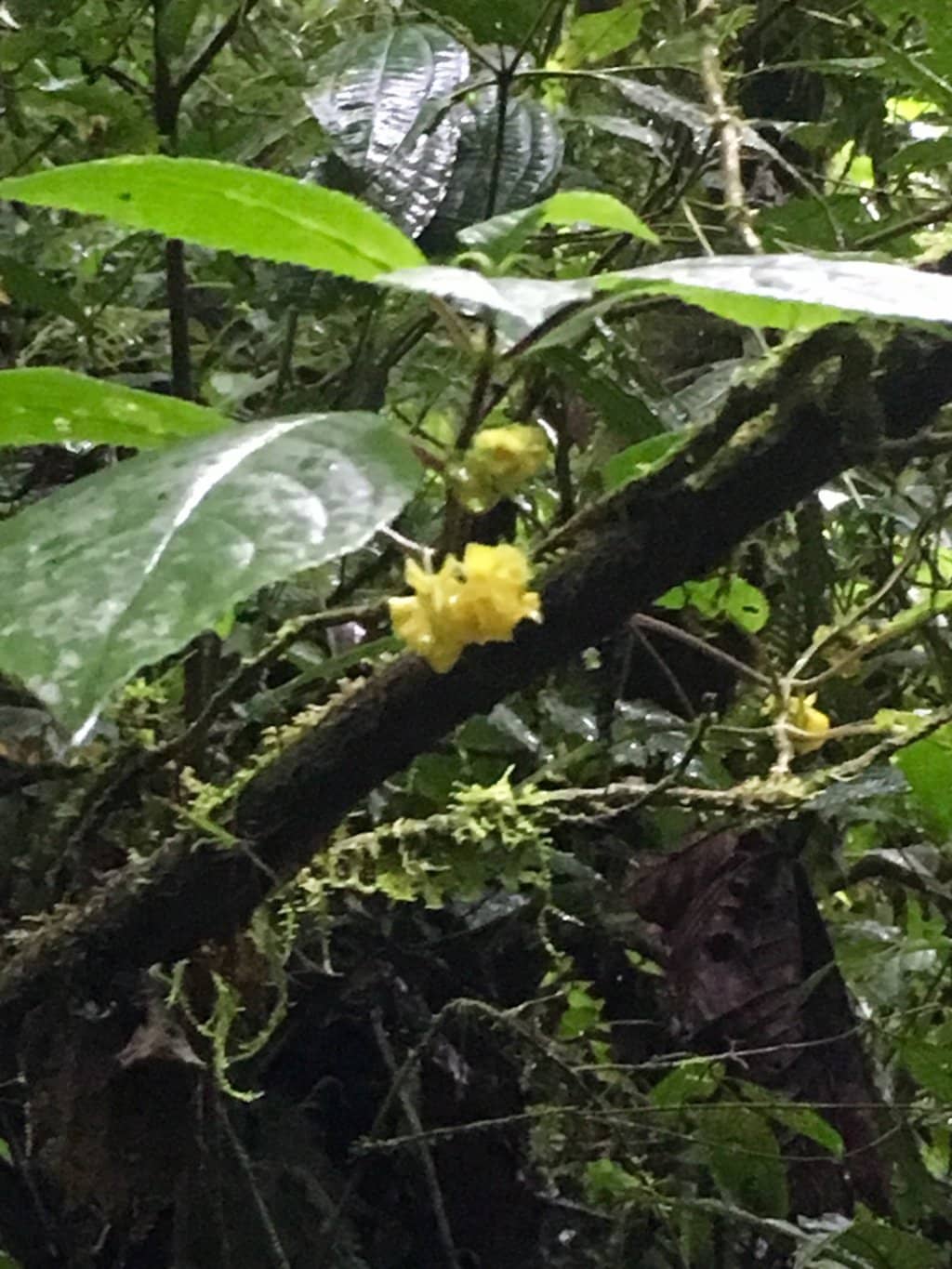Hummingbird Haven