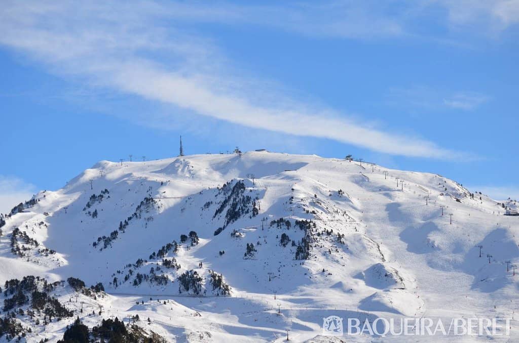 Pony and Horse Rides